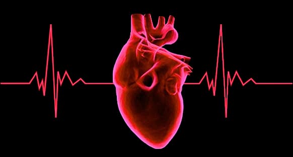 Heart with EKG line