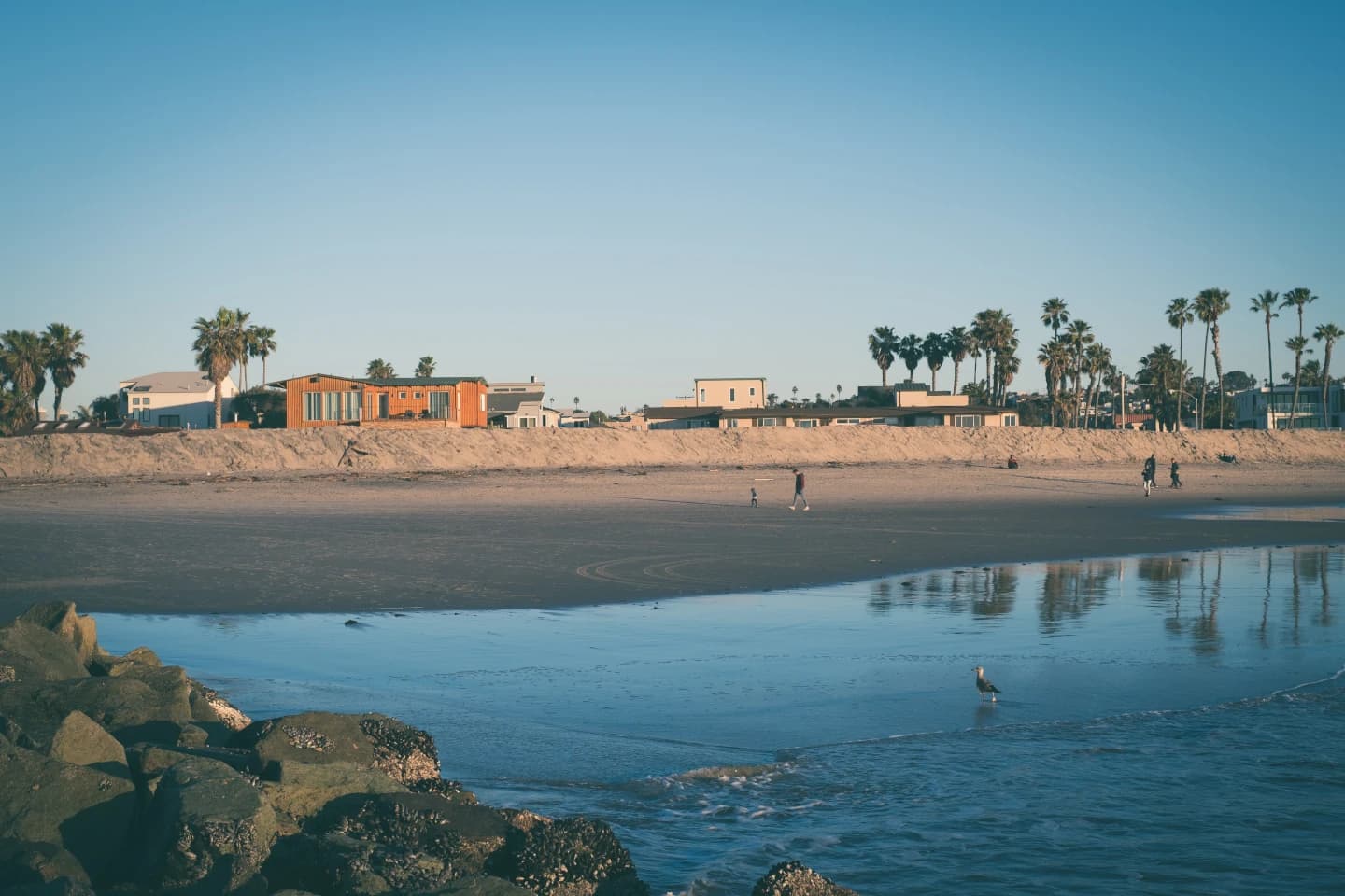 First Milestone Achieved Beach & Basketball